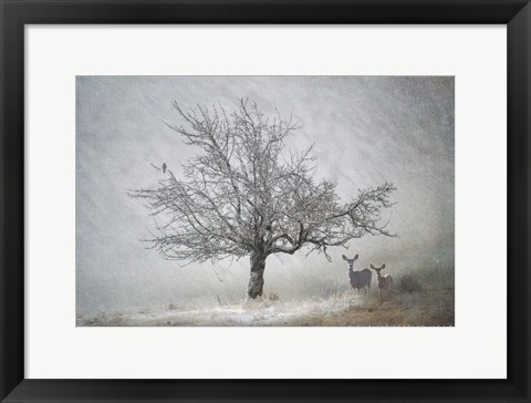 Framed Lone Tree Deer Kestral Print