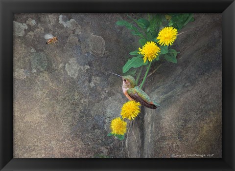 Framed Dandelions Rock Print