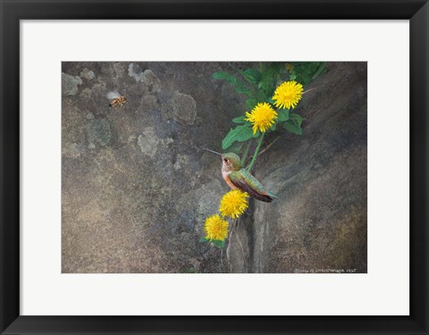 Framed Dandelions Rock Print