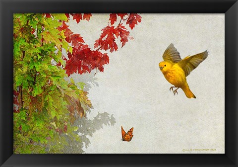 Framed Butterfly And Warbler Print