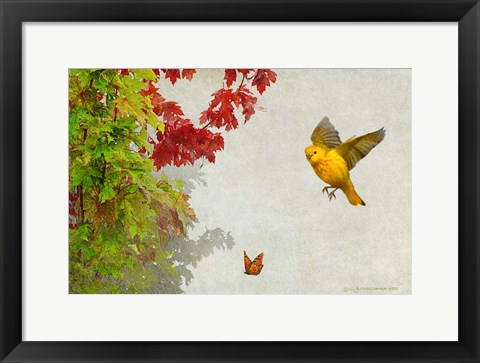 Framed Butterfly And Warbler Print