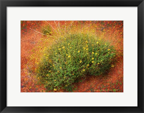 Framed Yellow Flowers Orange Sand Print