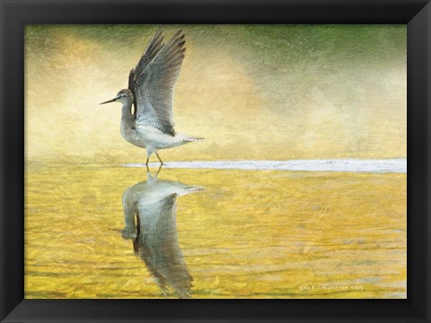 Framed Yellowlegs Wings Up Print