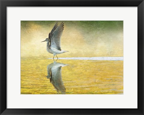 Framed Yellowlegs Wings Up Print