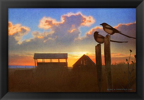 Framed Magpies At Sunset Print