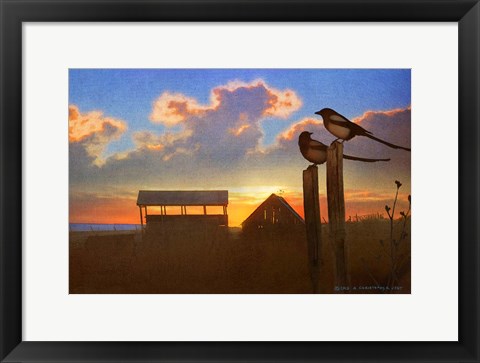 Framed Magpies At Sunset Print