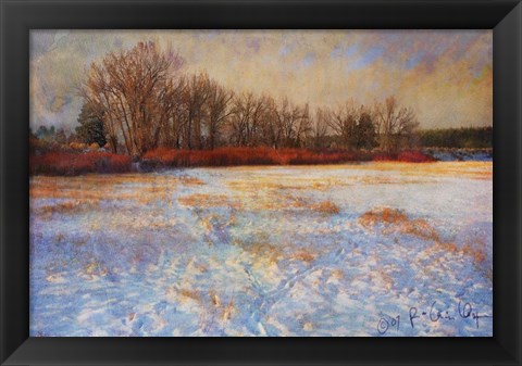 Framed Willows Frozen Cottonwood Print