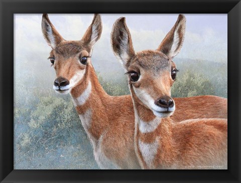 Framed Cute Baby Pronghorns Print