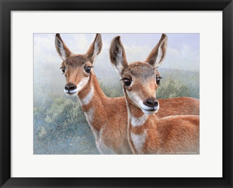 Framed Cute Baby Pronghorns Print