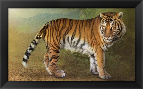 Framed Tiger Portrait Print