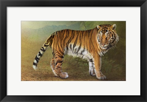 Framed Tiger Portrait Print