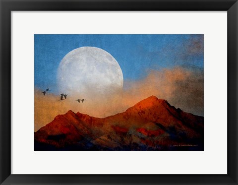 Framed Ibis Moon Print