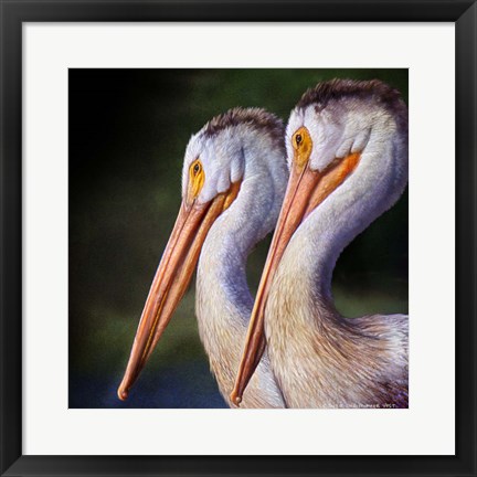 Framed Pelican Portrait Print