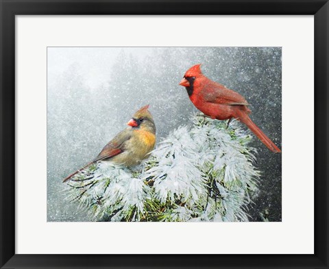 Framed Snow Cardinals Print