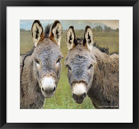 Framed Cute Donkeys Print