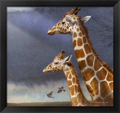 Framed Little Giraffe And Mother Print