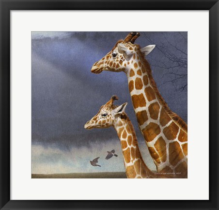 Framed Little Giraffe And Mother Print