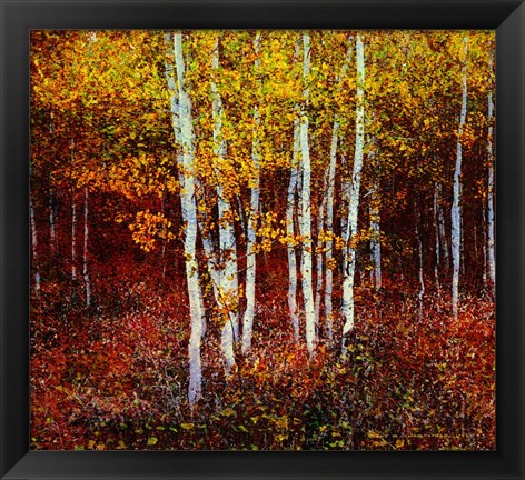 Framed Aspen Forest Above Kelly Print