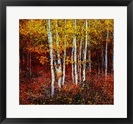 Framed Aspen Forest Above Kelly Print