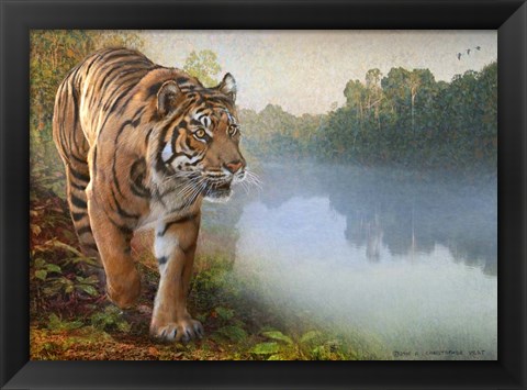 Framed Tiger Along the River Print