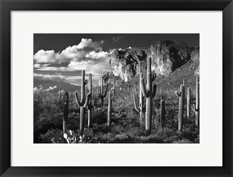 Framed Superstition Mtn Saguaros Arizona Print