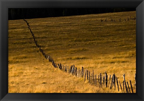 Framed Escudilla Mountain Meadow Fall 1 Print