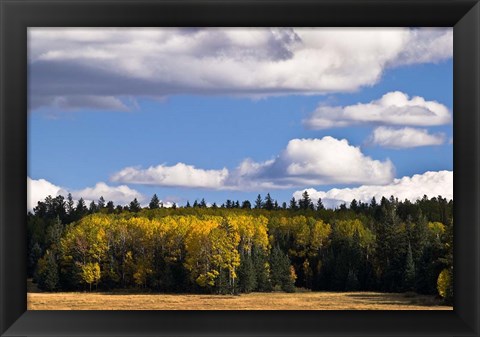 Framed Escudilla Mountain Meadow Fall 2 Print