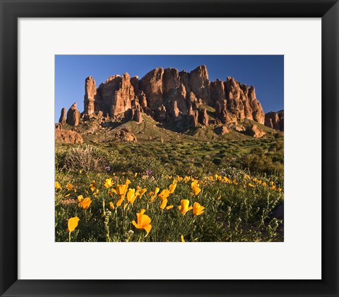 Framed Lost Dutchman State Park Superstition Mtns Print