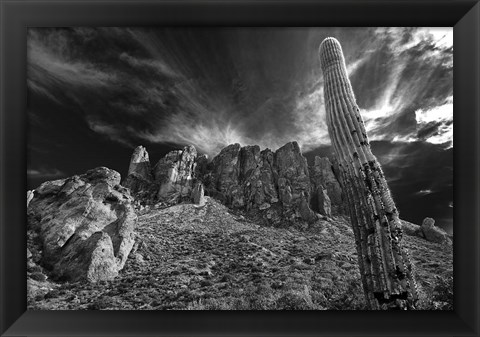 Framed Saguaros Lost Dutchman State Park Arizona Superstition Mtns 1 Print