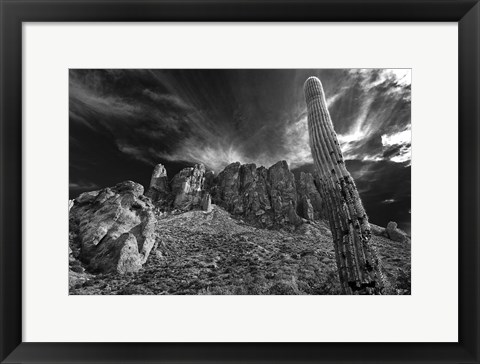 Framed Saguaros Lost Dutchman State Park Arizona Superstition Mtns 1 Print