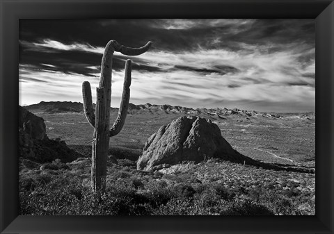 Framed Saguaros Lost Dutchman State Park Arizona Superstition Mtns 2 Print