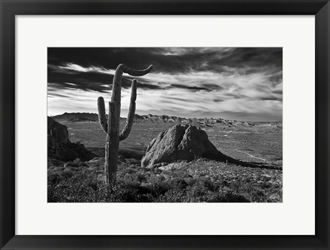 Framed Saguaros Lost Dutchman State Park Arizona Superstition Mtns 2 Print