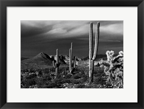 Framed Saguaros Superstition Mtns Arizona Print