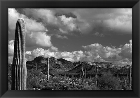 Framed Arizona Superstition Mtns Saguaros 1 Print