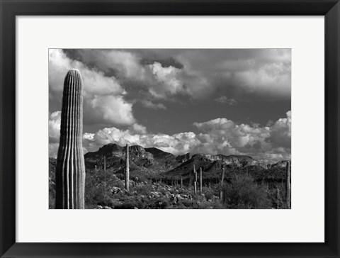 Framed Arizona Superstition Mtns Saguaros 1 Print