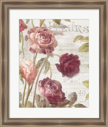 Framed French Roses II Print