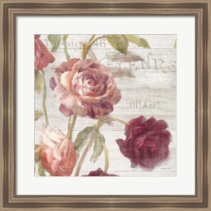 Framed French Roses IV Print