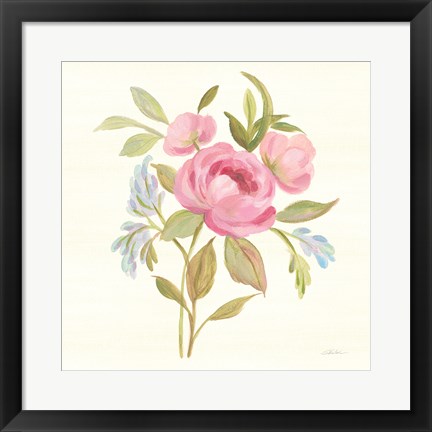 Framed Petals and Blossoms IV Print