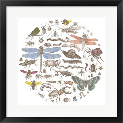 Framed Insect Circle I Bright Print