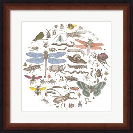 Framed Insect Circle I Bright Print