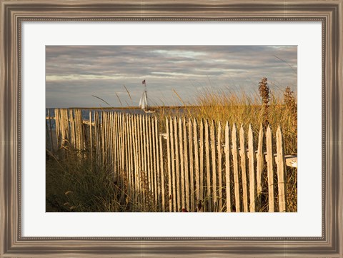 Framed Along the Fence I Print