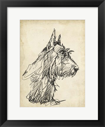 Framed Breed Studies I Print