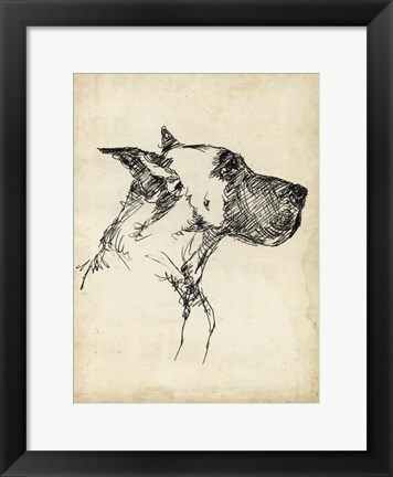 Framed Breed Studies IV Print