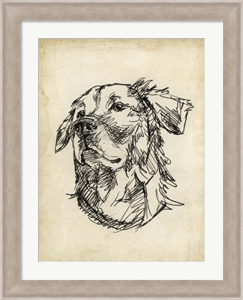 Framed Breed Studies VIII Print