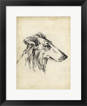 Framed Breed Studies XII Print