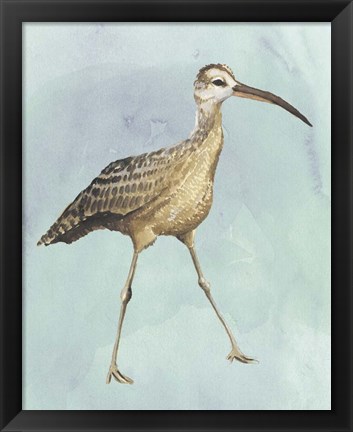 Framed Watercolor Beach Bird II Print