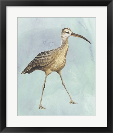 Framed Watercolor Beach Bird II Print