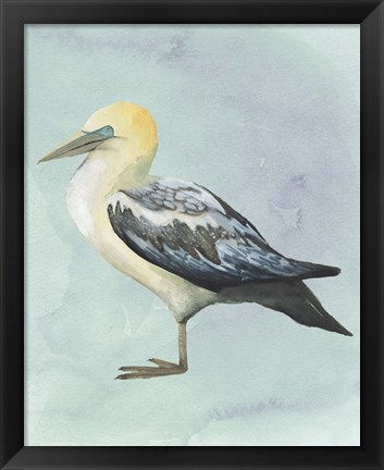 Framed Watercolor Beach Bird III Print