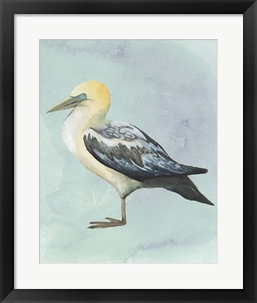 Framed Watercolor Beach Bird III Print