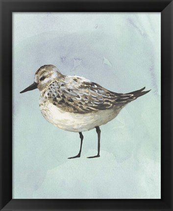 Framed Watercolor Beach Bird V Print